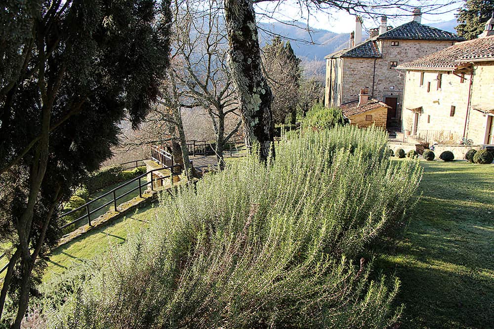 Agriturismo Borgo Valuberti agriturismo Toscana